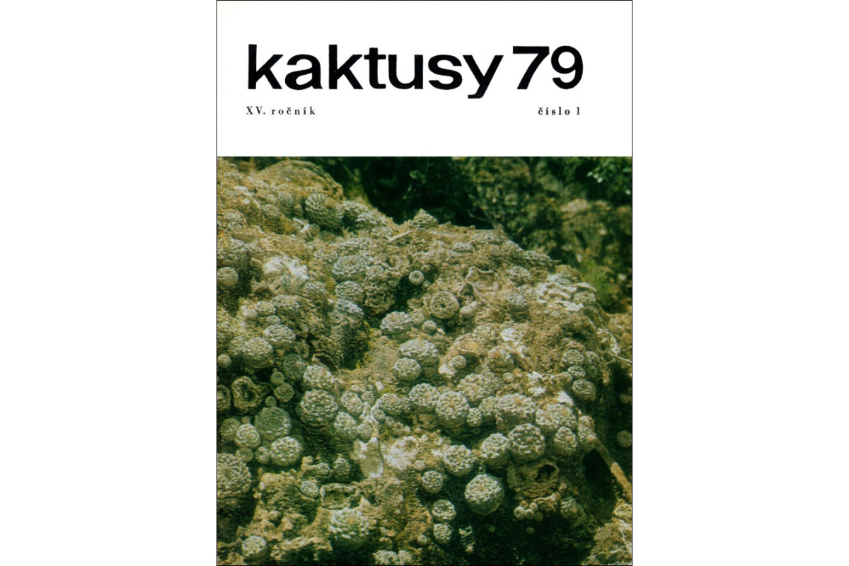Kaktusy 1979-1980