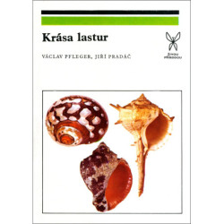 PFLEGER, PRADÁČ/Krása lastur