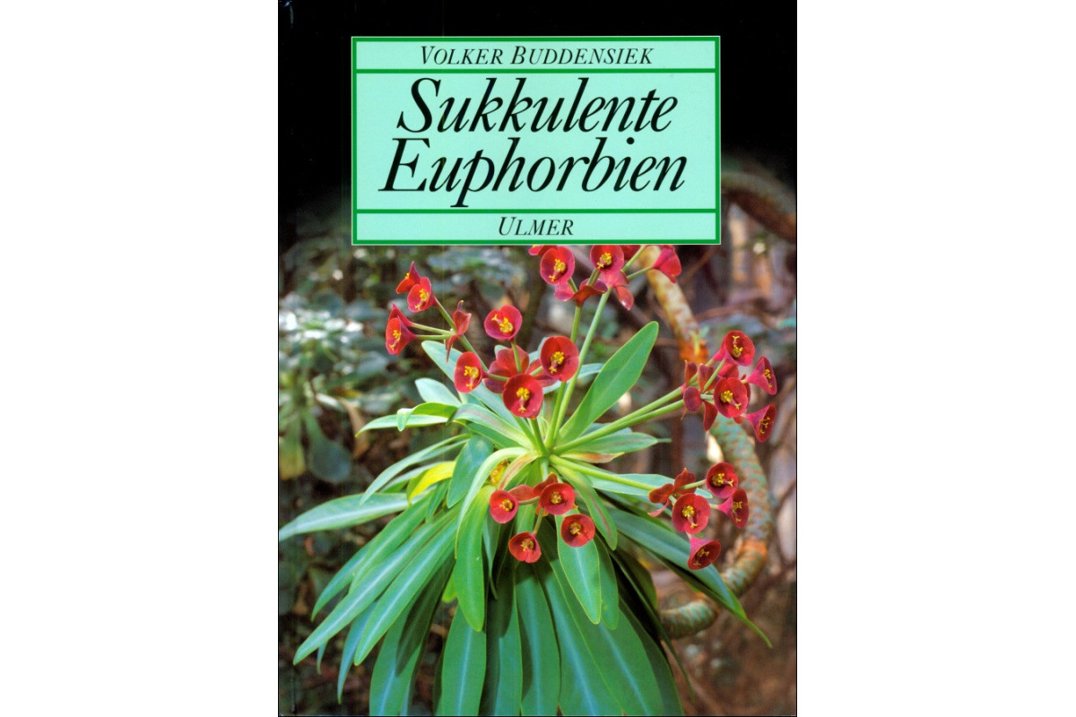 BUDDENSIEK/Sukkulente Euphorbien