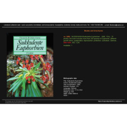 BUDDENSIEK/Sukkulente Euphorbien