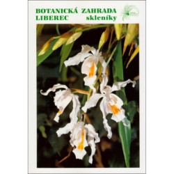 STUDNIČKA/Botanická Zahrada Liberec skleníky