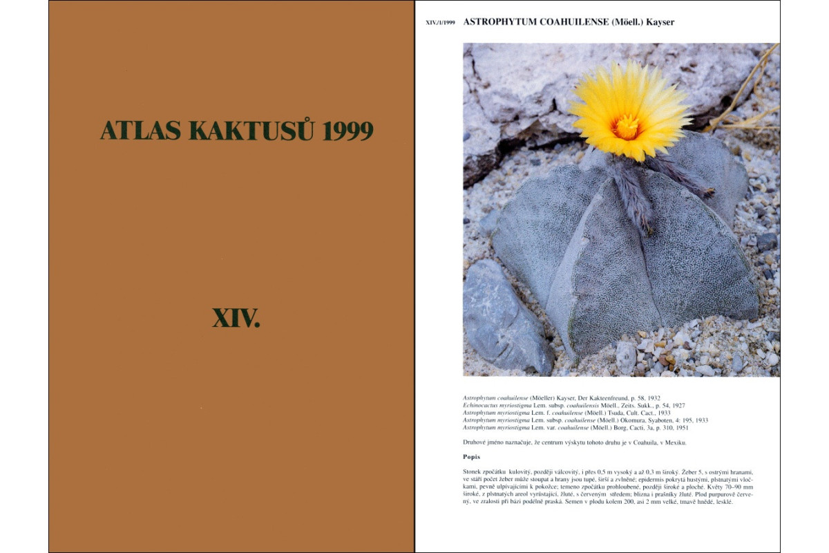 Atlas kaktusů 14. - 1999