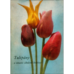 VANĚK/Tulipány a ostatní cibulové květiny
