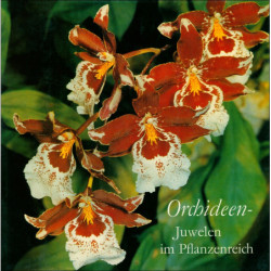 EBEL, BIRNBAUM, SCHUBERT/Orchideen-Juwelen im Pflanzenreich