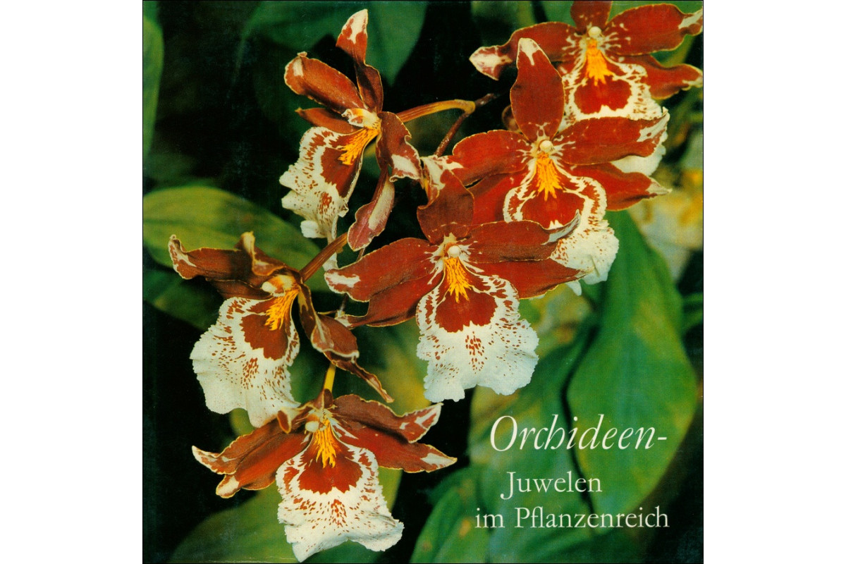EBEL, BIRNBAUM, SCHUBERT/Orchideen-Juwelen im Pflanzenreich