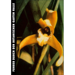 EBEL, GEIER/Führer durch den botanischen Garten Halle