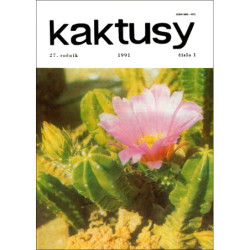 Kaktusy 1991/1