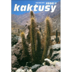 Kaktusy 1998/1